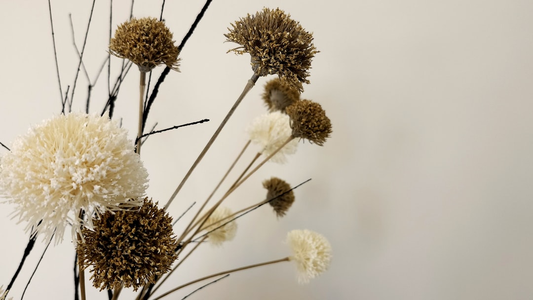 Incorporating Nature into Your Home Design with Vivid Nest Decor